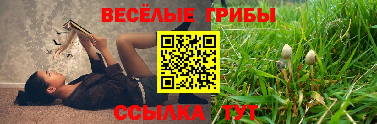 Новый Уренгой  Псилоцибиновые грибы GOLDEN TEACHER  Вход с VPN 